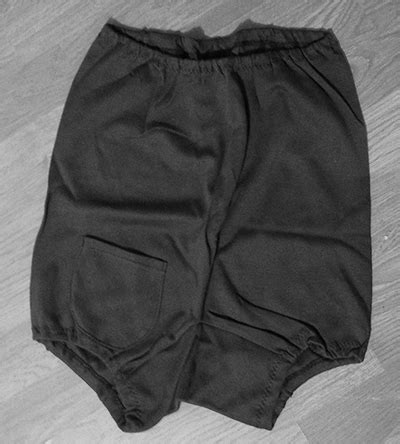 traditional school knickers.